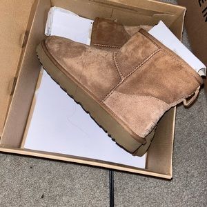 ugg chestnut minis
